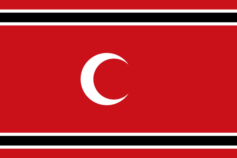File:Flag of Free Aceh Movement.svg