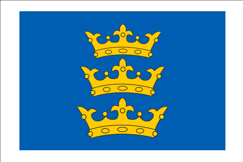File:Banner of the Lordship of Ireland.svg