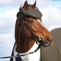 Photo of a horse dressed in formal gentleman's attire (collared shirt and necktie) with a beret atop its head, modified to permit its ears to protrude through the top