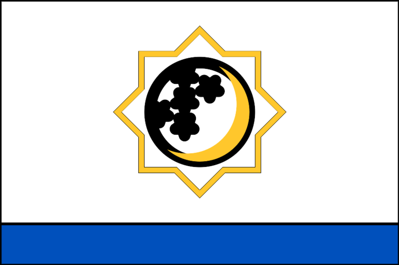 File:Flag of the Turkmen Naval Forces.svg