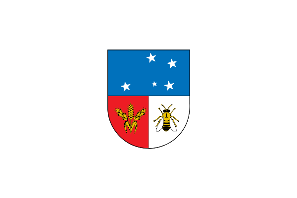 File:Flag of Colonia Department.svg