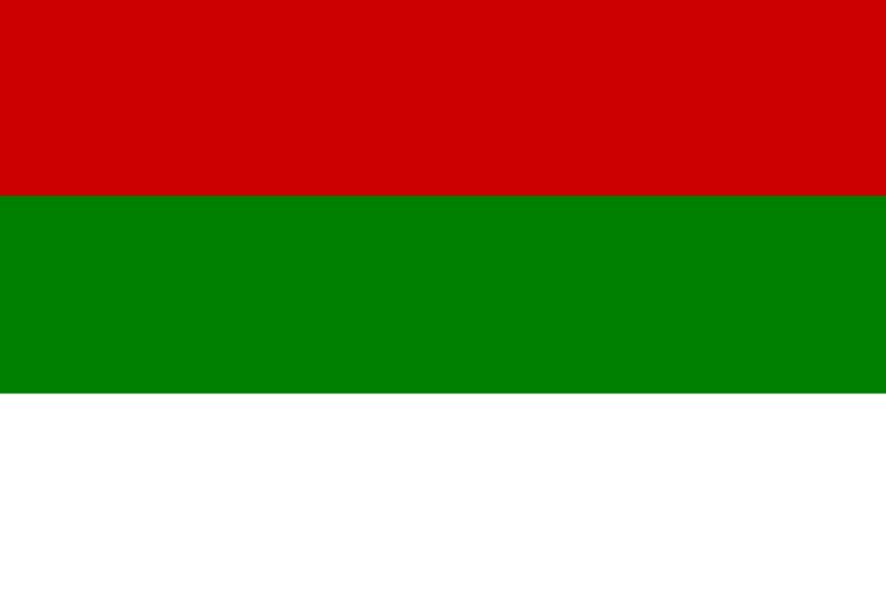 File:Transylvania flag 1 Dec 1918 - 11 Jan 1919.jpg
