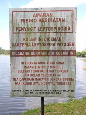 A sign warning against swimming in a lake with pathogenic Leptospira in Sarawak, Malaysia.